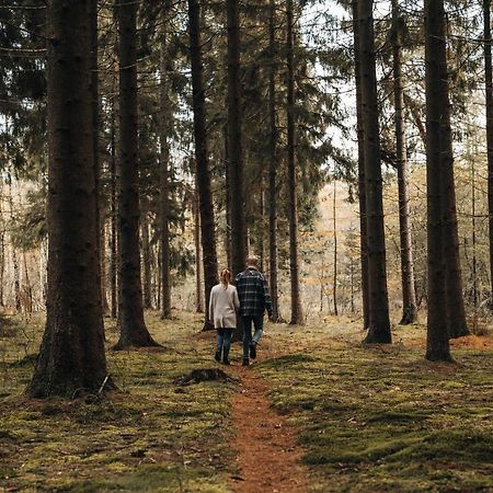 4P Chalet Tolve Met 4 Fietsen Vlakbij Natuurgebieden Drents Friese Wold, Fochteloerveen En Gevangenisdorp Veenhuizen Oosterwolde  Kültér fotó