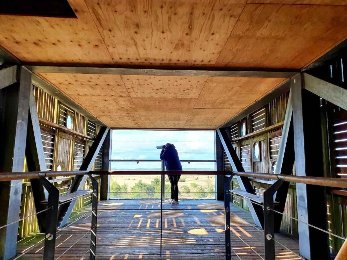 4P Chalet Tolve Met 4 Fietsen Vlakbij Natuurgebieden Drents Friese Wold, Fochteloerveen En Gevangenisdorp Veenhuizen Oosterwolde  Kültér fotó