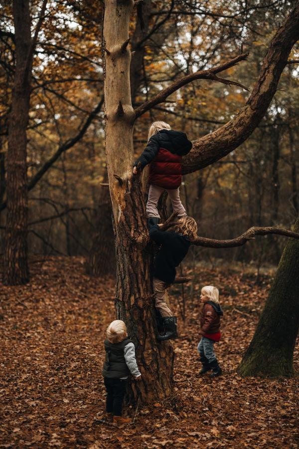 4P Chalet Tolve Met 4 Fietsen Vlakbij Natuurgebieden Drents Friese Wold, Fochteloerveen En Gevangenisdorp Veenhuizen Oosterwolde  Kültér fotó