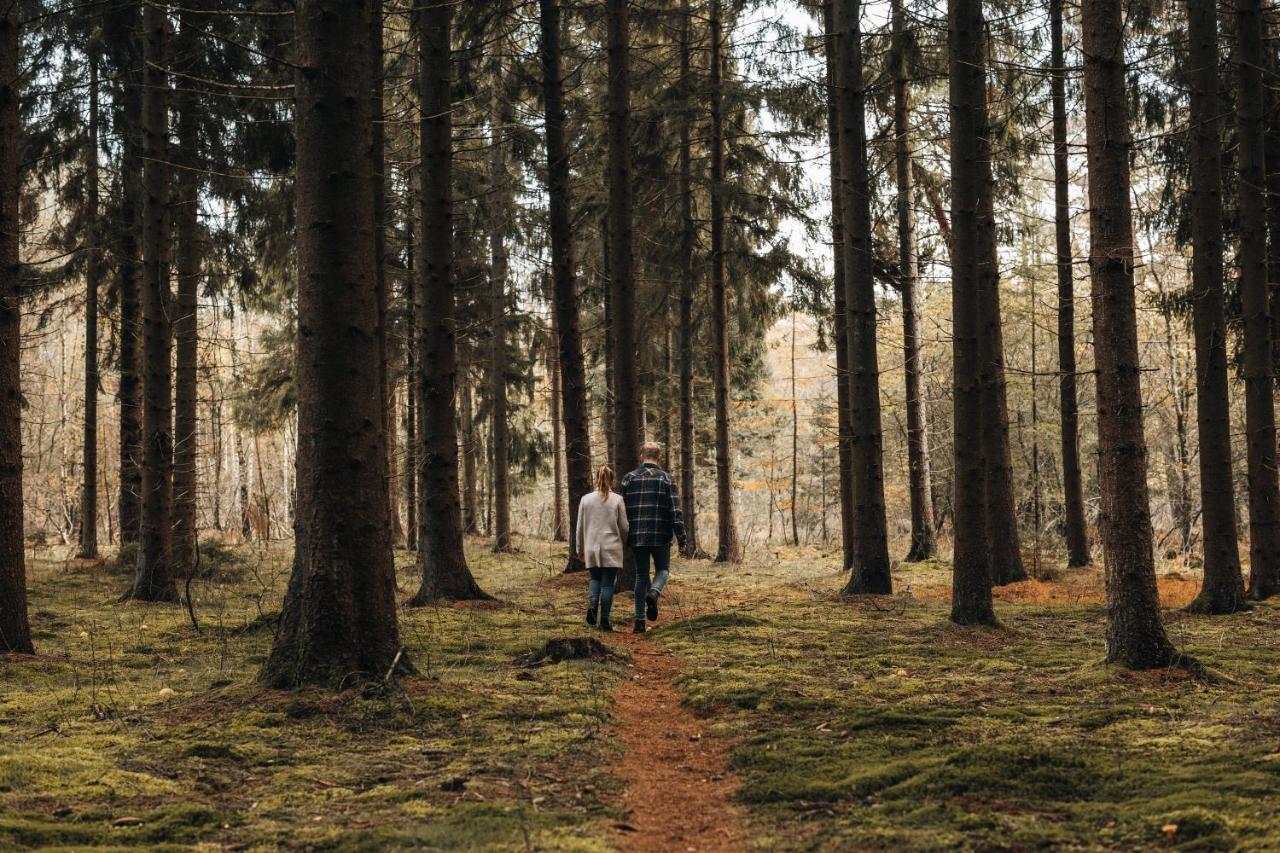 4P Chalet Tolve Met 4 Fietsen Vlakbij Natuurgebieden Drents Friese Wold, Fochteloerveen En Gevangenisdorp Veenhuizen Oosterwolde  Kültér fotó